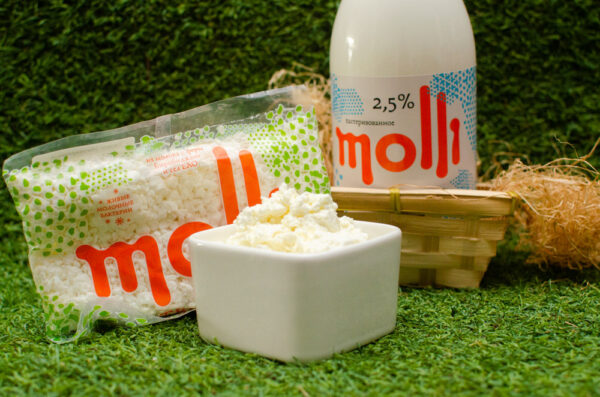 Творог и молоко Molli